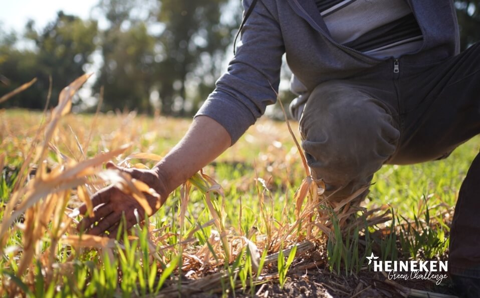 heineken green challenge