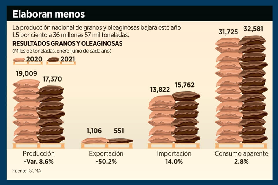 Disminuye en 8.6% cosecha de granos: GCMA