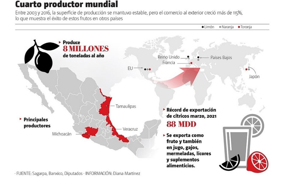 La ruta de los cítricos mexicanos, con crecimiento a escala global