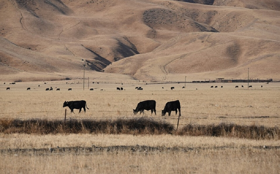 El futuro de la comida en EU depende de un estado sin suficiente agua: California